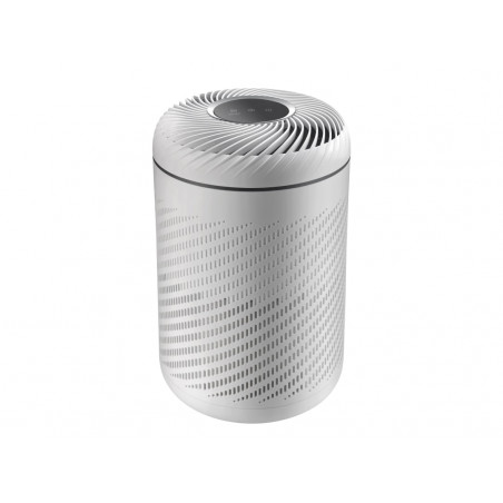 Airmaster HEPA 13 Air Purifier - AP22DC