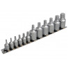BlueSpot 12pc Mixed Drive TORX Socket Set - 01551