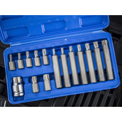 BlueSpot Tools 15-Piece TORX Bit Set - 1511
