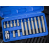BlueSpot Tools 15-Piece TORX Bit Set - 1511