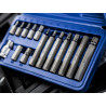 BlueSpot Tools Hex Bit Set (15pc) - 1513