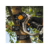 NEXXSAW 6in Chainsaw 18V Bare Unit