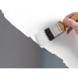 Multi Surface Primer 250ml