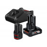 GBA Mixed Battery & Charger Starter Kit 12V