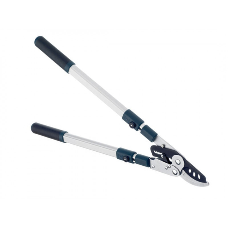 BD3113TW Evergreen Extending Bypass Loppers BD3113TW Evergreen Extending Bypass Loppers