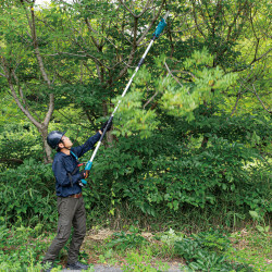Makita DUA200 LXT 18V Pole Saw 200mm (1 × 5.0Ah Battery)