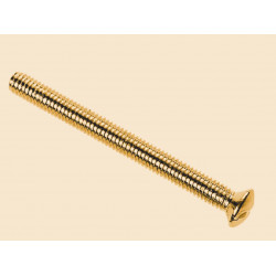 Brass Switch/Socket Plate Screws 3.5 x 38mm (Pack of 10)