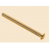 Brass Switch/Socket Plate Screws 3.5 x 38mm (Pack of 10)