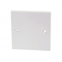 Single Blanking Plate