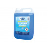 Ready Mixed Screenwash All Seasons Formula 5 litre