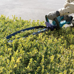 Makita DUH507 LXT 18V Hedge Trimmer 500mm (1 × 5.0Ah Battery)
