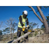 DCM565N XR Brushless Chainsaw 18V Bare Unit