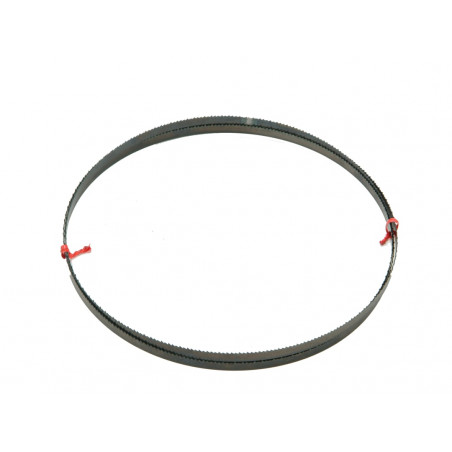DT8481 General Purpose Bandsaw Blade 2095 x 12mm x 6 TPI