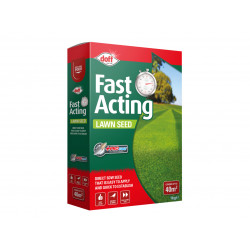 Fast Growing Lawn Seed 1kg