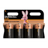 D Cell +100% Plus Power Batteries (Pack 4)