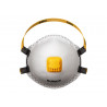 FFP3 Disposable Respirator (10 Pack)