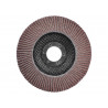Aluminium Oxide Flap Disc 125 x 22mm 120 Grit
