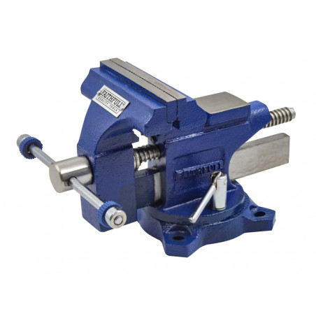 Light-Duty Mechanics Vice 100mm (4in)
