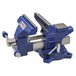 Light-Duty Mechanics Vice 100mm (4in)