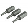 Security S2 Grade Steel Screwdriver Bits T10S x 25mm (Pack 3)