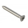 Self-Tapping Screw Pozi Compatible CSK A2 SS 1in x 6 ForgePack 30