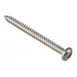Self-Tapping Screw Pozi Compatible Pan Head SS 2in x 10 ForgePack 8