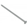Batten Nails Galvanised 65 x 2.65mm (2.5kg Bag)