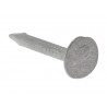 Clout Nail Extra Large Head Galvanised 30mm (500g Bag)