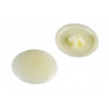 Pozi Compatible Cover Cap Cream No.6-8 Forge Pack 50