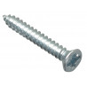 Self-Tapping Screw Pozi Compatible Pan Head ZP 1in x 6 ForgePack 30