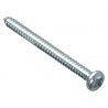 Self-Tapping Screw Pozi Compatible Pan Head ZP 2in x 8 ForgePack 12