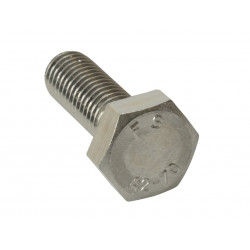 High Tensile Set Screw ZP M12 x 100mm Bag 5