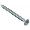 Multi-Purpose Pozi Compatible Screw CSK ST ZP 5 x 60mm Box 100
