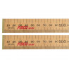 SR2ME Surveyors Rod 2 Metre / 78in