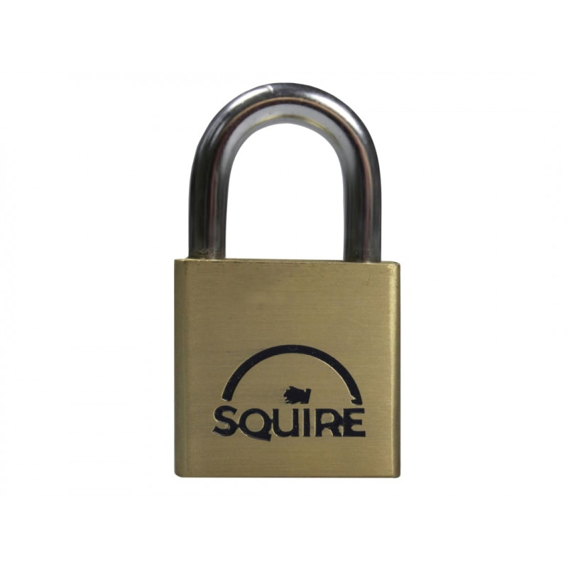 LN3 Lion Brass Padlock 30mm LN3 Lion Brass Padlock 30mm