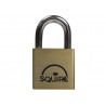 LN3 Lion Brass Padlock 30mm