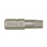TORX Insert Bits TX30 25mm (Pack 2)