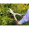 General Purpose Hedge Shears