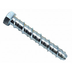 MASONMATE® 0855M600100 Hex Concrete Screwbolt M14 x 100mm (25)