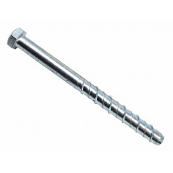 MASONMATE® 0855M620200 Hex Concrete Screwbolt M16 x 200mm (10)