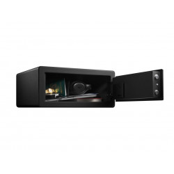 Master Lock LX110BEURHRO Large Biometric Safe