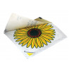 Rentokil FW35A Advanced Window Fly Traps (Pack 4)