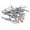 Rapid 5001439 High Performance Rivets 4.8 x 20mm (Box 250)