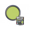 Ronseal 37388 Garden Paint Lime Zest 250ml