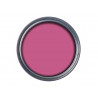 Ronseal 37407 Garden Paint Pink Jasmine 750ml
