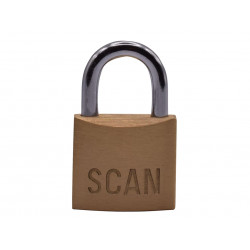 Yale Locks Y110B/30/115/1 Brass Padlock 30mm
