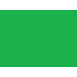 Shurtape 1265018 Duck Tape® 48mm x 13.7m Neon Green