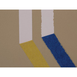 Shurtape 207255 FrogTape® Delicate Surface Masking Tape 36mm x 41.1m