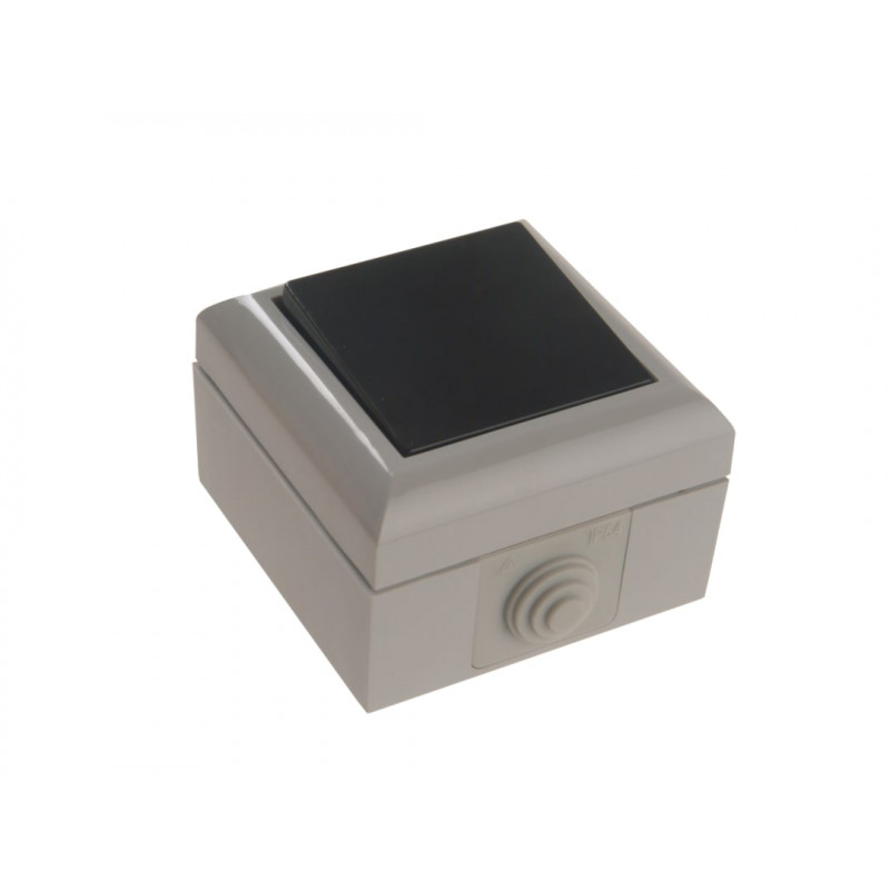 SMJ EP1G2B IP54 2-Way Switch 1-Gang SMJ EP1G2B IP54 2-Way Switch 1-Gang