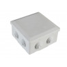 SMJ EPJBL6 IP55 Junction Box 5T 100 x 100 x 55mm